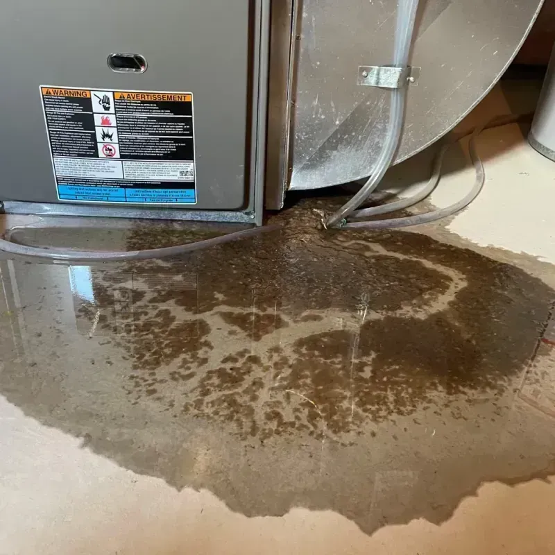 Appliance Leak Cleanup in Holden Heights, FL